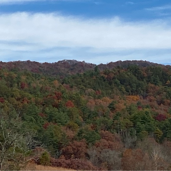 Meet your Posher, Misty - Picture 3 of 3